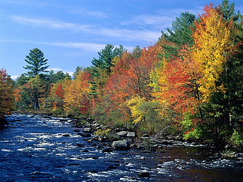 Nature, Rivers, Trees, Autumn, Flow HD wallpaper