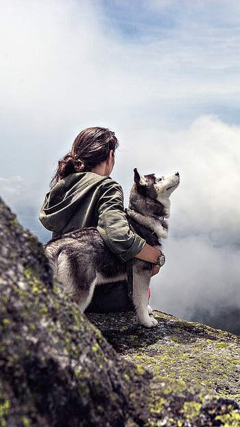 Girl with Siberian husky, Sony Xperia X, , Beautiful HD phone wallpaper