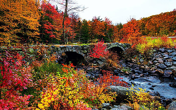 Autumn at Woodstock, Vermont, river, leaves, clouds, trees, colors, bridge, sky, usa HD wallpaper