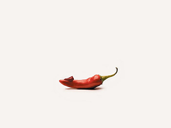 Chilli OK, cool, funny HD wallpaper