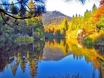 Reflections, river, colorful, lakeshore, peaceful, serenity, nice, shore, trees, autumn, water, calm, tranquility, beautiful, ummer, lake, mountain, pretty, clouds, nature, sky, riverbank, lovely HD wallpaper