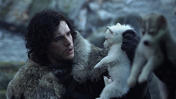 Jon Snow finds Ghost as a pup. HD wallpaper