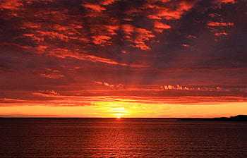 Sun, Nature, Sea, Dawn, Horizon HD wallpaper