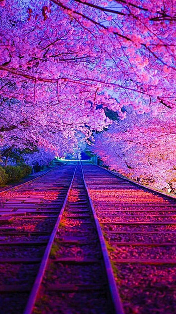 Beautiful For, Spring HD phone wallpaper