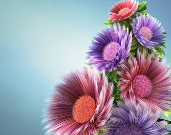 Flowers, tenderness, bouquet, nice, delicate, petals, blossoms, bright colors, bud, nature, blooms HD wallpaper