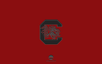 South Carolina Gamecocks, burgundy background, American football team, South Carolina Gamecocks emblem, NCAA, South Carolina, USA, American football, South Carolina Gamecocks logo HD wallpaper