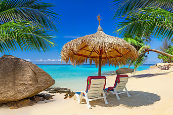 Tropical relax, sea, palms, shade, tropical, exotic, paradise, beautiful, beach, vacation, summer, waves, rest, breeze, sands, sky, ocean HD wallpaper