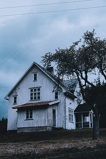Miscellanea, Miscellaneous, Wood, Wooden, Tree, House, Courtyard, Yard HD phone wallpaper