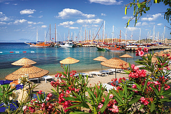 Beach and port in a small town, blue, sunny, colorful, umbrellas, coast, town, pier, small, nice, beach, shore, sands, boats, dock, sun, ocean, sea, exotic, beautiful, fresh, summer, ships, rest, view, clouds, nature, sky, port, flowers, lovely HD wallpaper