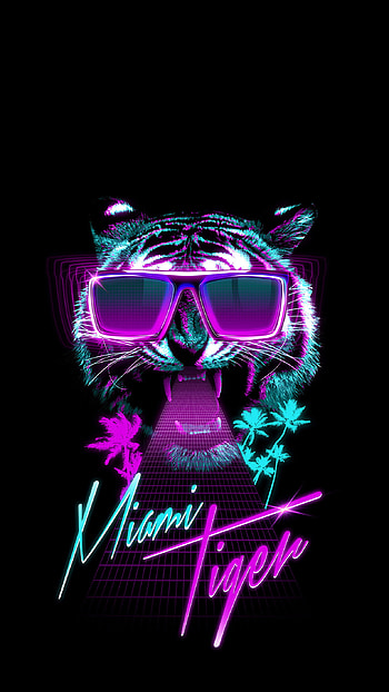 6 miami tiger night club HD phone wallpaper