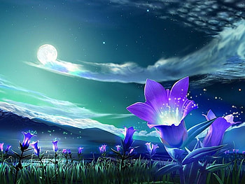 Flowers, abstract, flower HD wallpaper