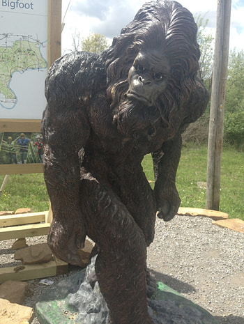 Bigfoot, Wikipedia, Information, Mythical creature HD phone wallpaper
