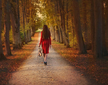 The Sound of Music, lady, model, violin, red HD wallpaper