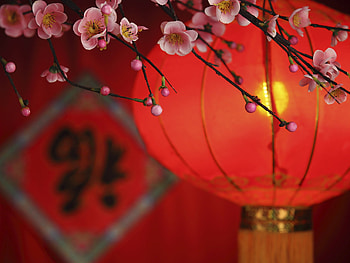 Chinese New Year , Holiday HQ HD wallpaper