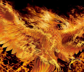 phoenix lord, phoenix, bird, fantasy, light HD wallpaper