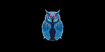 Owl Dark , owl, animals, dark, black HD wallpaper