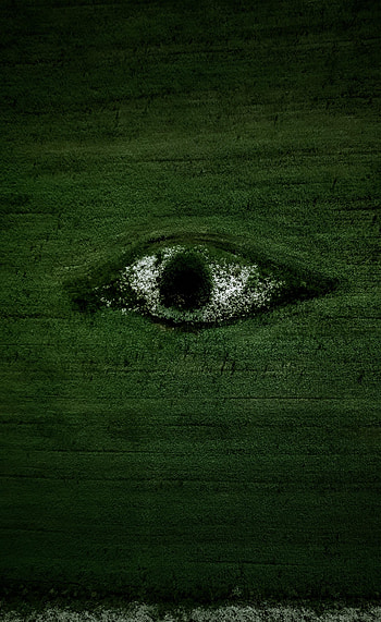 Nature, Flowers, Trees, View From Above, Field, Eye HD phone wallpaper