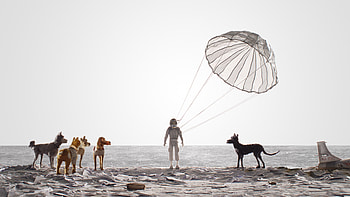 Isle of Dogs, Wes Anderson, Film analysis, Fine Line Production HD wallpaper