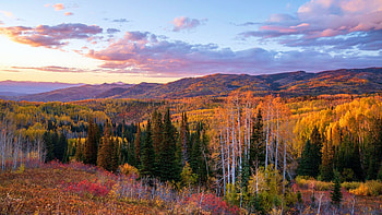 Fall is popping in Steamboat, Colorado, sky, sunset, landscape, clouds, trees, usa HD wallpaper