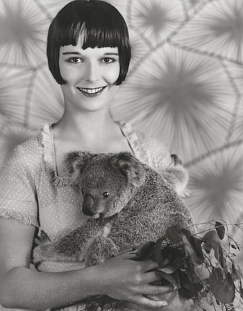 Louise Brooks, Archie the Koala, Expert in Louise Brooks HD phone wallpaper