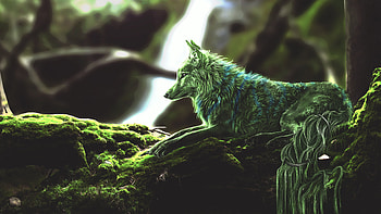 Green Wolf HD wallpaper