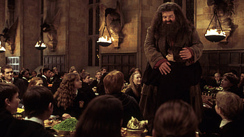Hagrid's return, Heartwarming reunion, Hogwarts welcome, Friendship renewed HD wallpaper