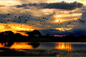 Beautiful Sunset, cool, beautiful, , sunset HD wallpaper