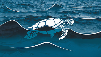 Graceful Sea Turtle: A Stunning Ultra, sea turtle, turtle, ocean, water, marine life HD wallpaper