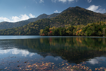 Nature, Reflection, Forest, Hill HD wallpaper