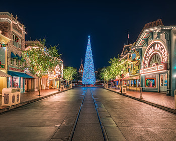 Disney, Christmas, Disneyland, , Square, Christmas Tree, California HD wallpaper