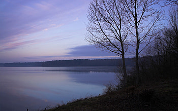 Nature, Lake, Wood, Tree, Fog, Morning, Freshness, Slope HD wallpaper