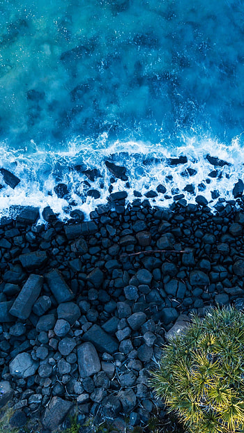 nature, beach HD phone wallpaper