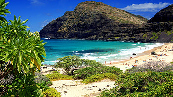 O'ahu beach , Tropical beauty, Beach vibes, Travel HD wallpaper