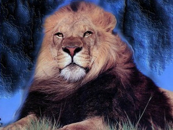 Leo the Lion, animal, lion HD wallpaper