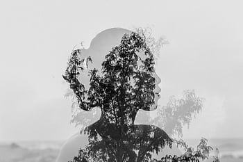 Artistic double exposure capturing a woman's silhouette blending with natural tree branches in black and white. HD wallpaper