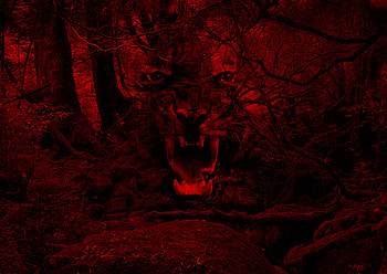 Art, Tiger, Fangs, To Fall, Mouth HD wallpaper