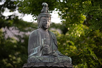 Buddha statue amidst lush greenery in Tokyo's Shinjuku City. HD wallpaper