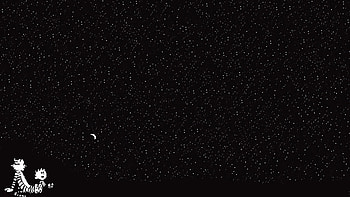 calvin and hobbes, starry sky, cartoon HD wallpaper