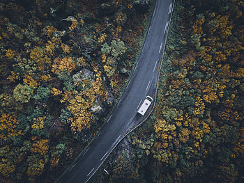 Nature, Trees, Autumn, View From Above, Road, Car HD wallpaper