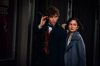 Newt Scamander, Crimes of Grindelwald, Sewer HD wallpaper