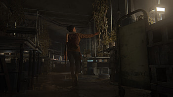 Jackson (Dina), Dina (The Last of Us), The Last of Us Part II HD wallpaper