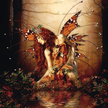 Butterfly, Faeries (Fairies) HD phone wallpaper