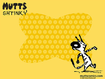 Shtinky, mutts HD wallpaper