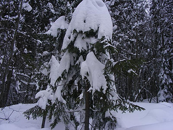 winter 3, winter HD wallpaper