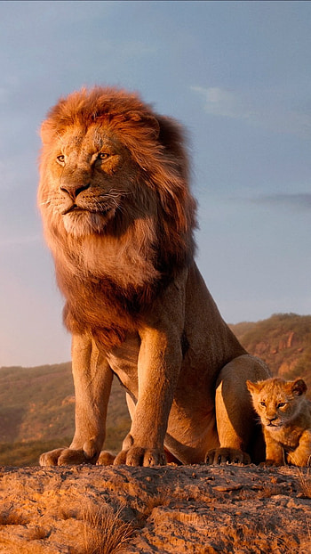 Lion King, The Lion King, movie HD phone wallpaper
