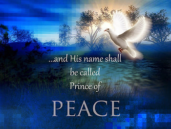 Prince of Peace, dove, blues, Jesus, lord, Savior, Love, message, Digital, christian HD wallpaper