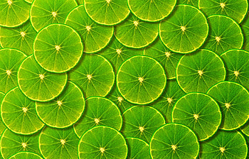 Zesty Lemon Slices — Food, food, lemon HD wallpaper