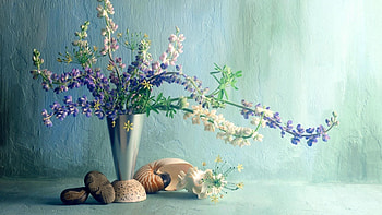 Flowers, Shells, Bouquet, Wall, Vase, Lupins HD wallpaper