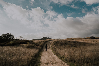 Nature, Grass, Clouds, Path, Stroll, Human, Person HD wallpaper