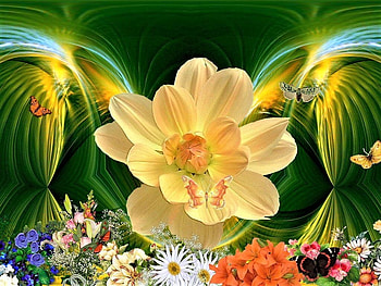 ღ, butterflies, flowers, abstract, bright HD wallpaper